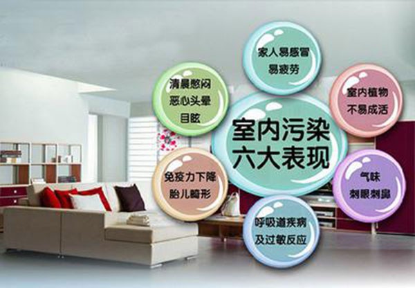 绿色办公室装修